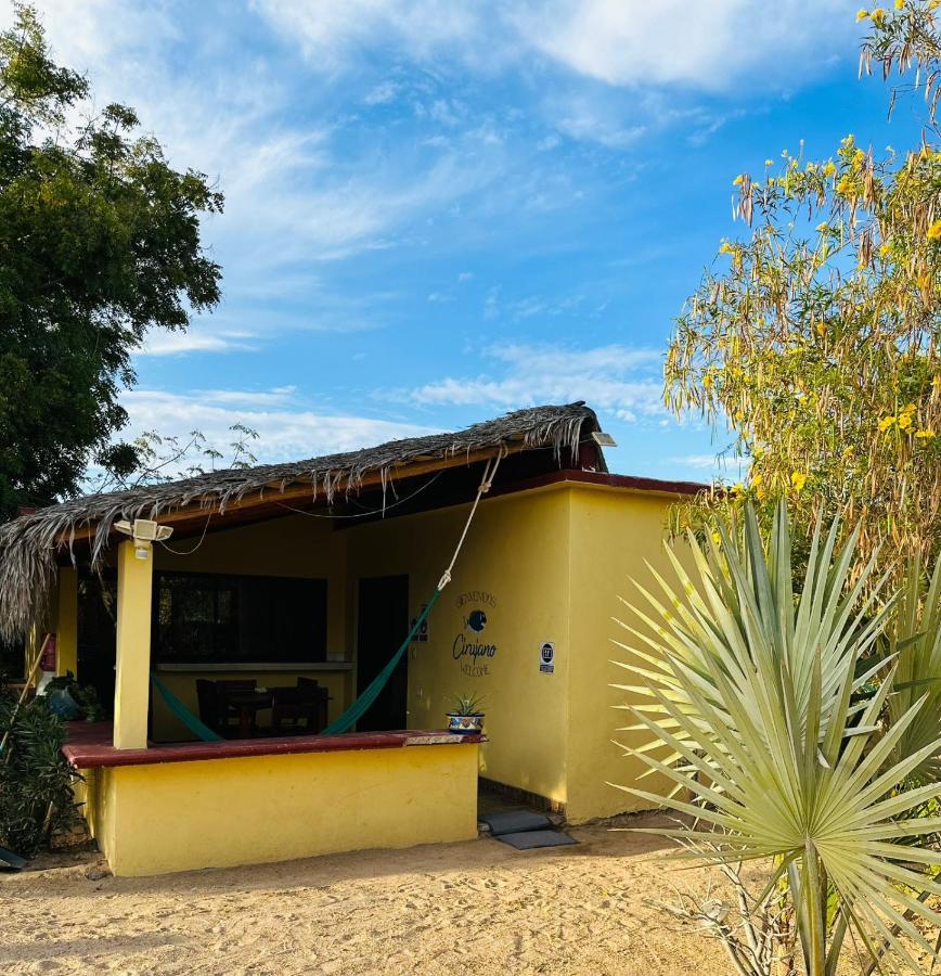 Apartamento Bungalow Cirujano Cabo Pulmo Exterior foto